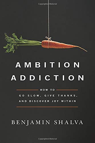 Stock image for Ambition Addiction: How to Go Slow, Give Thanks, and Discover Joy Within for sale by austin books and more