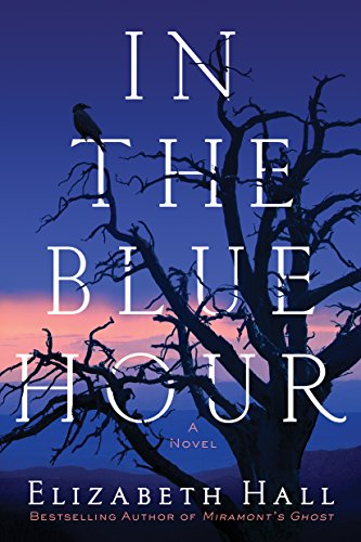 Stock image for In the Blue Hour : A Novel for sale by Better World Books