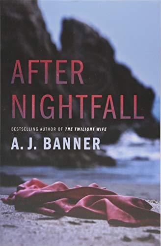 Stock image for After Nightfall for sale by Wonder Book