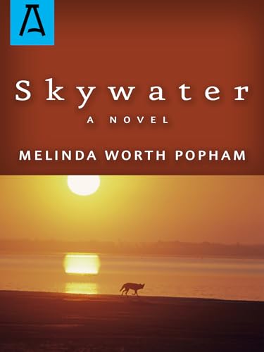 Beispielbild fr Skywater zum Verkauf von Books From California