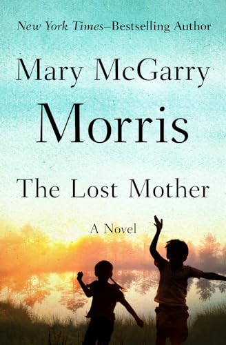 Imagen de archivo de The Lost Mother: A Novel a la venta por Hawking Books