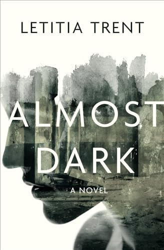 Stock image for Almost Dark: A Novel for sale by HPB Inc.