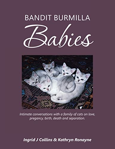 Stock image for Bandit Burmilla Babies: Intimate Conversations With a Family of Cats on Love, Pregancy, Birth, Death and Separation for sale by Lucky's Textbooks