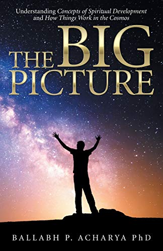 Imagen de archivo de The Big Picture: Understanding Concepts of Spiritual Development and How Things Work in the Cosmos a la venta por ThriftBooks-Dallas