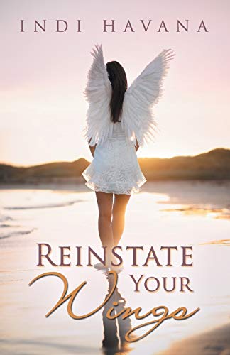 Stock image for Reinstate Your Wings for sale by Bookmans