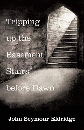 Stock image for Tripping up the Basement Stairs before Dawn: An Awakening for sale by Chiron Media