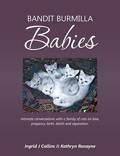 Stock image for Bandit Burmilla Babies: Intimate conversations with a family of cats on love; pregancy; birth; death and separation. for sale by Ria Christie Collections