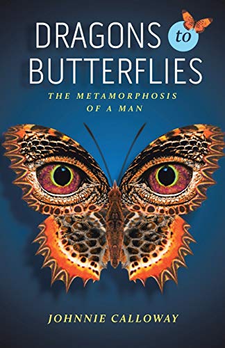 Stock image for Dragons to Butterflies for sale by Open Books