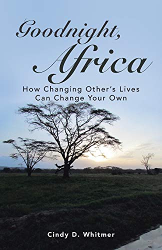 Imagen de archivo de Goodnight, Africa : How Changing Other's Lives Can Change Your Own a la venta por Better World Books