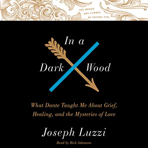 Stock image for In a Dark Wood: What Dante Taught Me about Grief, Healing, and the Mysteries of Love for sale by Buchpark