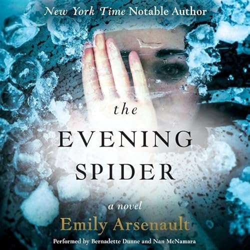 Stock image for The Evening Spider: A Novel for sale by Irish Booksellers