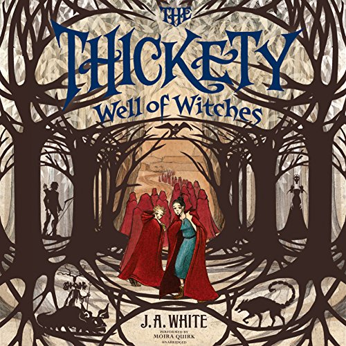 9781504695855: The Thickety #3: Well of Witches (Thickety Series, Book 3)