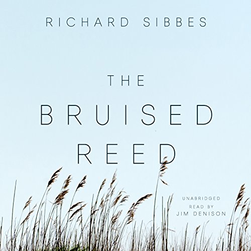 9781504712361: The Bruised Reed