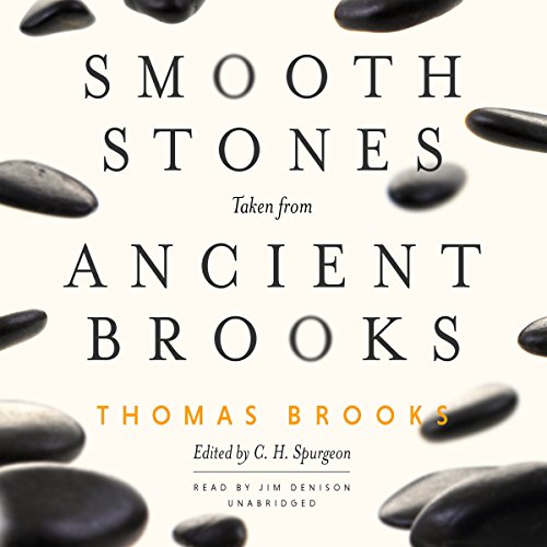 Stock image for Smooth Stones Taken from Ancient Brooks for sale by The Yard Sale Store