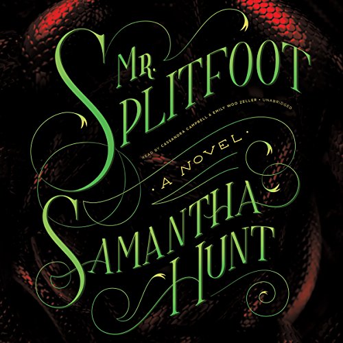 Stock image for Mr. Splitfoot for sale by HPB-Ruby