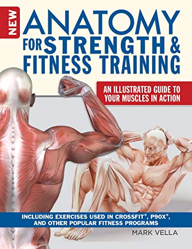 Stock image for New Anatomy for Strength &amp; Fitness Training for sale by Blackwell's