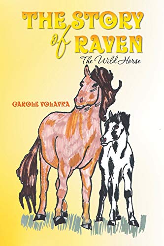 Stock image for The Story of Raven: The Wild Horse for sale by Chiron Media