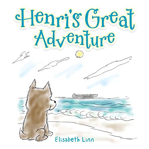 9781504984584: Henri's Great Adventure