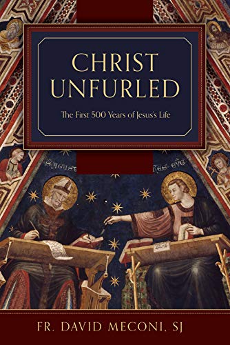 Beispielbild fr Christ Unfurled: The First 500 Years of Jesus's Life zum Verkauf von BooksRun
