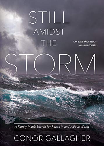 Beispielbild fr Still Amidst the Storm: A Family Manâ   s Search for Peace in an Anxious World zum Verkauf von WorldofBooks