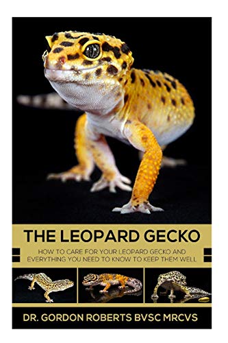 Beispielbild fr The Leopard Gecko: How to care for your Leopard Gecko and everything you need to know to keep them well. zum Verkauf von AwesomeBooks