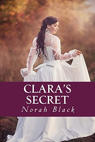 9781505287141: Clara's Secret