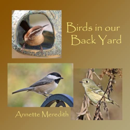 Stock image for Birds in Our Back Yard for sale by SecondSale
