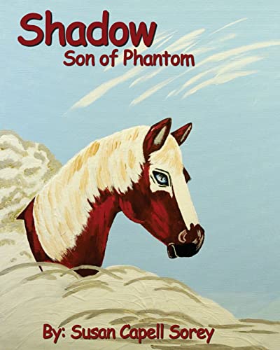 Stock image for Shadow Son of Phantom (Phantom Hoof Beats) for sale by Lucky's Textbooks