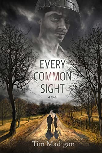 Imagen de archivo de Every Common Sight: a novel a la venta por Wonder Book