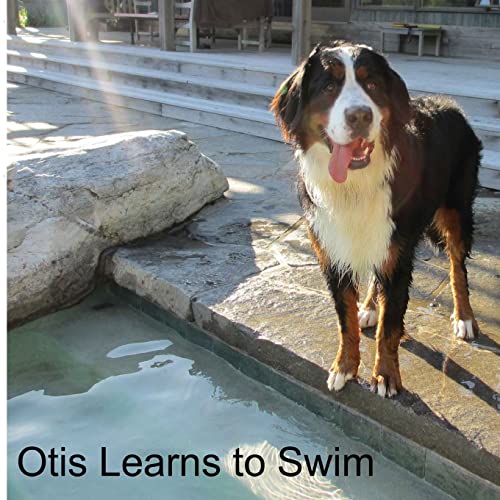 Stock image for Otis Learns to Swim (Otis Books) for sale by Welcome Back Books