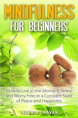 Beispielbild fr Mindfulness for Beginners : How to Live in the Moment, Stress and Worry Free in a Constant State of Peace and Happiness zum Verkauf von Better World Books