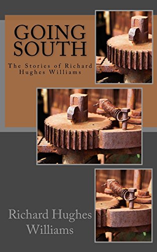 Stock image for Going South: The Stories of Richard Hughes Williams for sale by Anybook.com