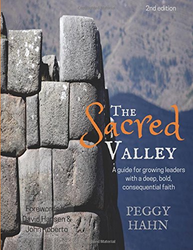 9781506095134: The Sacred Valley: A guide for growing leaders with a deep, bold, consequential faith in Jesus Christ
