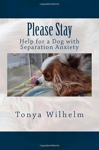 Stock image for Please Stay: Help for a Dog with Separation Anxiety for sale by Revaluation Books