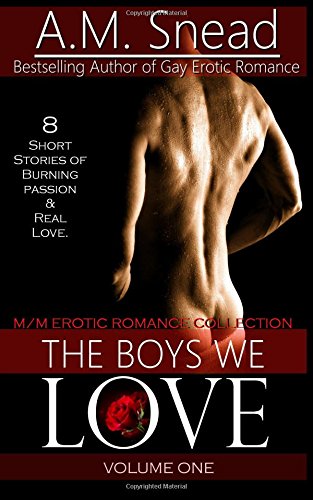 Beispielbild fr The Boys We Love: Vol 1 zum Verkauf von Revaluation Books