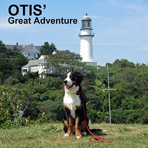 Stock image for Otis' Great Adventure (Otis Books) for sale by Welcome Back Books