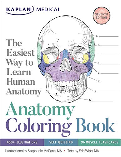 Beispielbild fr Anatomy Coloring Book zum Verkauf von Hawking Books