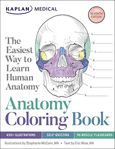 Stock image for Anatomy Coloring Book for sale by ThriftBooks-Dallas