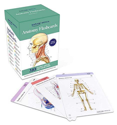 Stock image for Anatomy Flashcards for sale by HPB-Red