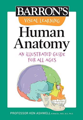 Stock image for Visual Learning: Human Anatomy : An Illustrated Guide for All Ages for sale by Better World Books