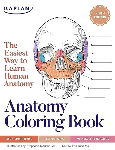 9781506281216: Anatomy Coloring Book with 450+ Realistic Medical Illustrations with Quizzes for Each + 96 Perforated Flashcards of Muscle Origin, Insertion, Action, ... Way to Learn Human Anatomy (Kaplan Test Prep)