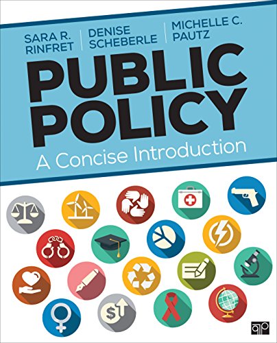 Beispielbild fr Public Policy: A Concise Introduction zum Verkauf von Ergodebooks