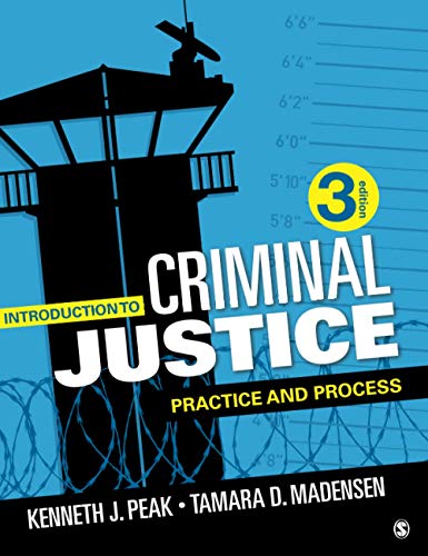 Imagen de archivo de Introduction to Criminal Justice: Practice and Process a la venta por Indiana Book Company