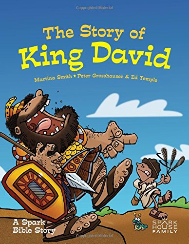 Beispielbild fr The Story of David: A Spark Bible Story (Spark Bible Stories) zum Verkauf von BooksRun