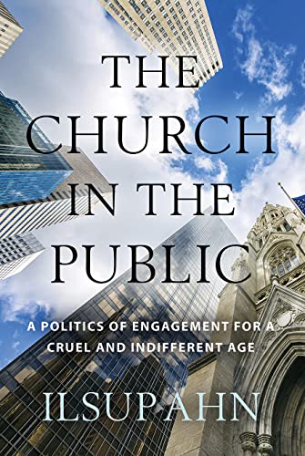 Imagen de archivo de The Church in the Public: A Politics of Engagement for a Cruel and Indifferent Age a la venta por SecondSale