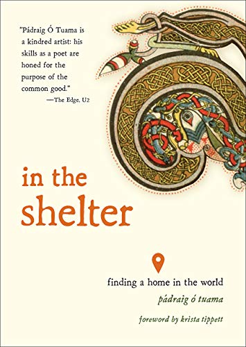 9781506470528: In the Shelter: Finding a Home in the World