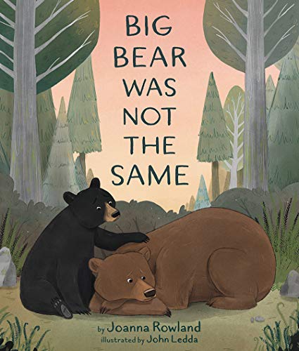 Beispielbild fr Big Bear Was Not the Same zum Verkauf von ZBK Books