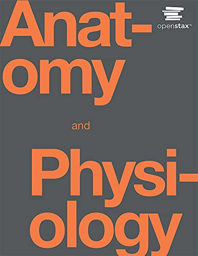 Stock image for Anatomy and Physiology by OpenStax (Official Print Version, paperback, BW) for sale by KuleliBooks