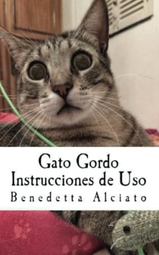 Imagen de archivo de Gato Gordo. Instrucciones de uso a la venta por Revaluation Books