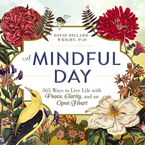 Stock image for A Mindful Day: 365 Ways to Live Life with Peace, Clarity, and an Open Heart for sale by Gulf Coast Books